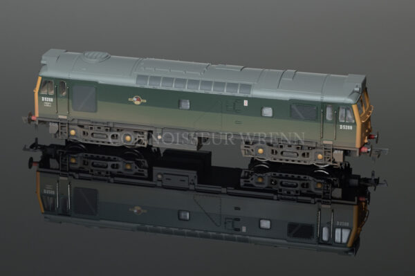 Bachmann Class 25/3 Diesel D5269 BR Green WEATHERED Locomotive 32-403-1830