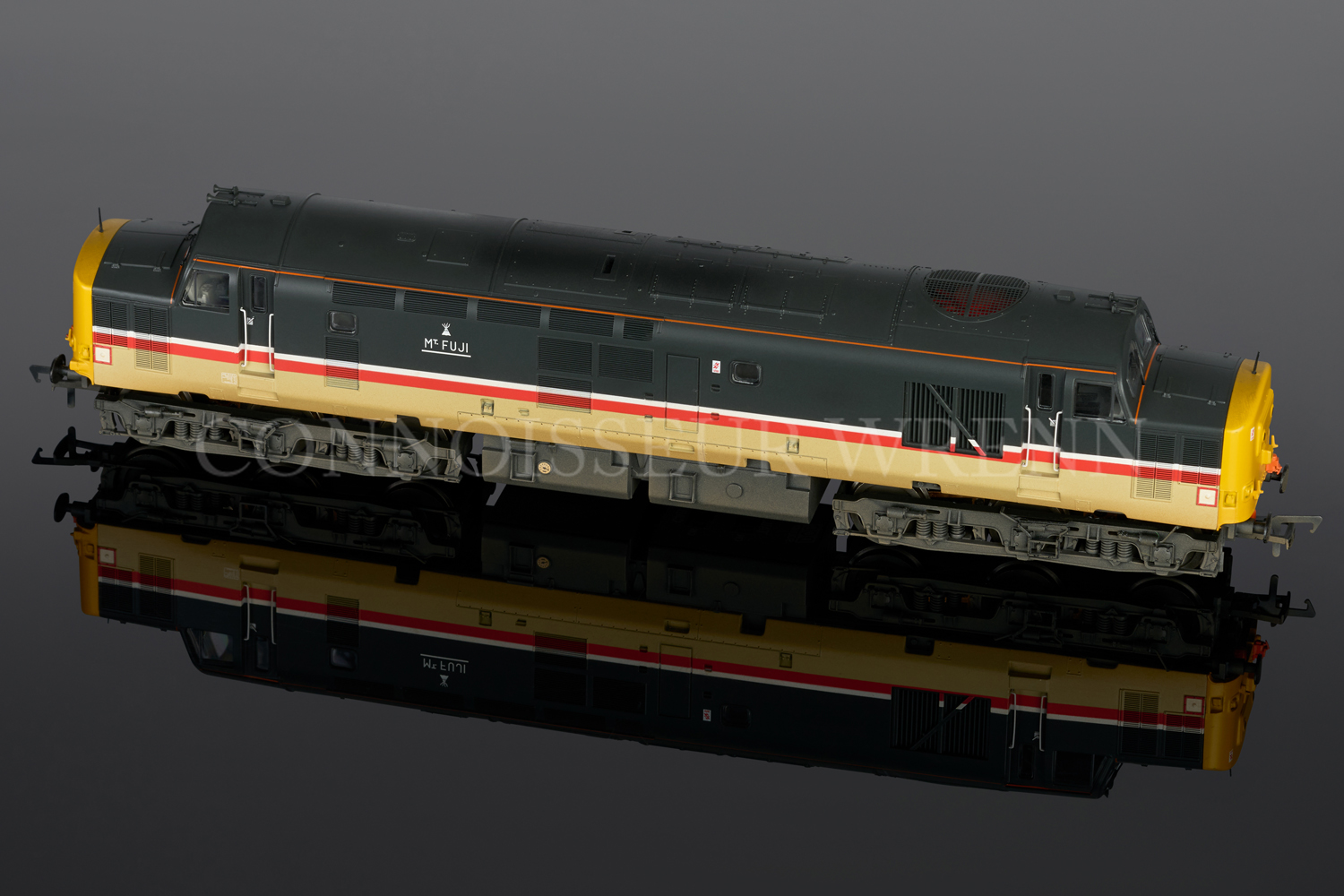 Bachmann DCC Sound Class 37/4 BR MAINLINE WEATHERED MOUNT FUJI 32-389TLDS